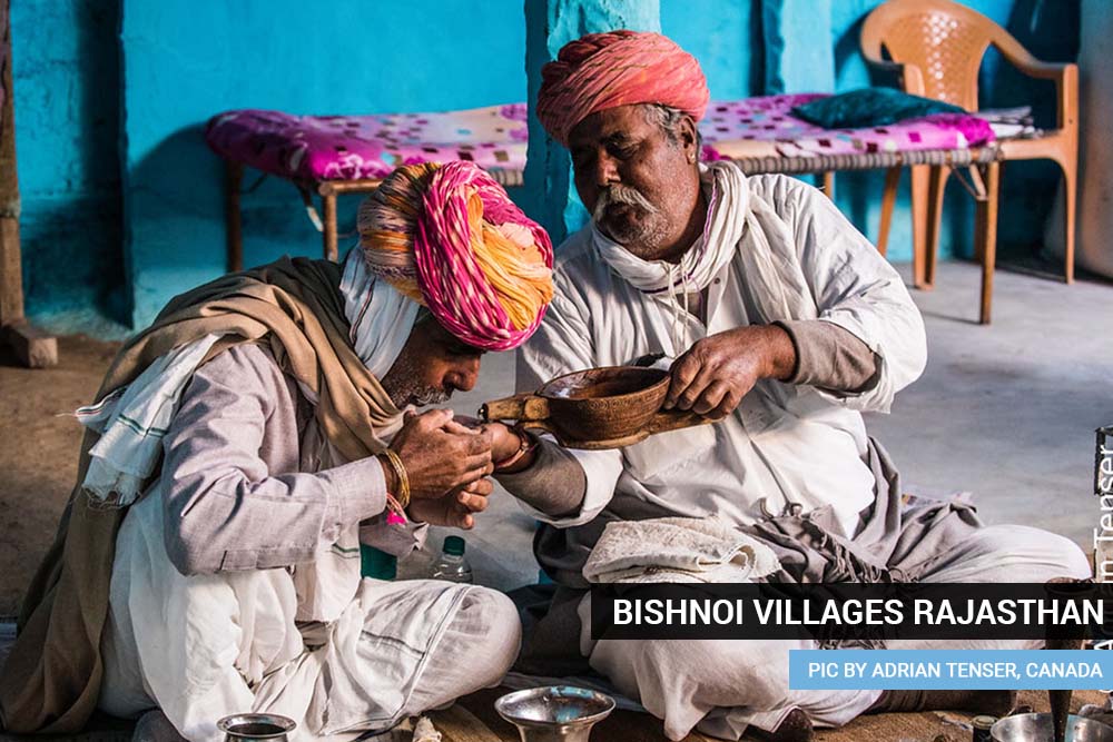 Bishnoi villages Rajasthan